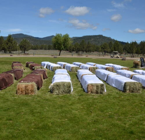 junipers-movie-night